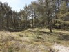 Billede 1 - Udsigt
