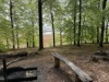 Bild 31