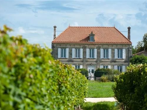 Château / Castle - 12 persons -  - 33620 - Cezac