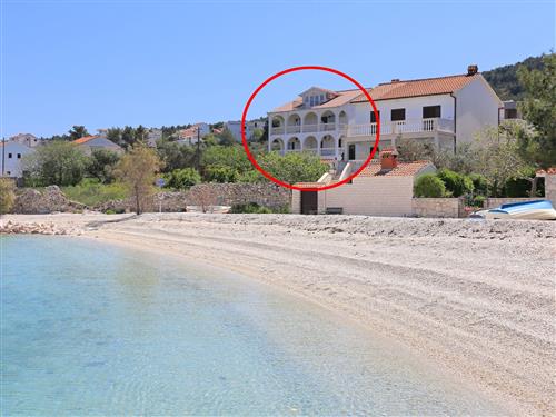 Ferielejlighed - 2 personer -  - Ulica bana Josipa Jelacica - 21224 - Slatine