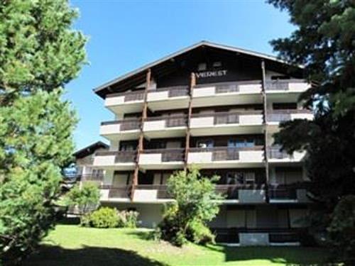 Holiday Home/Apartment - 4 persons -  - Grosses Moos - 3906 - Saas-Fee