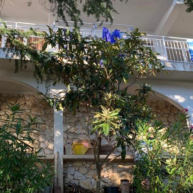 Ferielejlighed - 4 personer -  - Zagrebacka - 51264 - Jadranovo