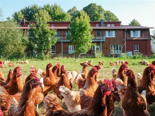 Bondgård - 8 personer -  - Hauptstraße - 19055 - Schwerin