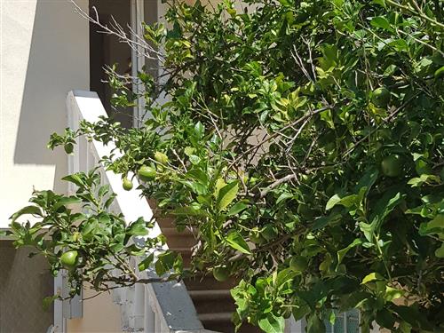 Sommerhus - 4 personer -  - Ulica III. - 23281 - Sali