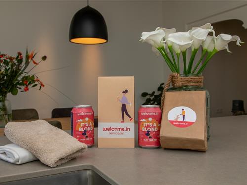 Sommerhus - 9 personer -  - Stationsweg - 4451HJ - Heinkenszand