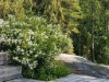 Bild 5 - Ude