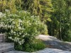 Image 5 - Outside