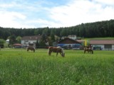 Objekt Nr.: 354-DE-93468-03