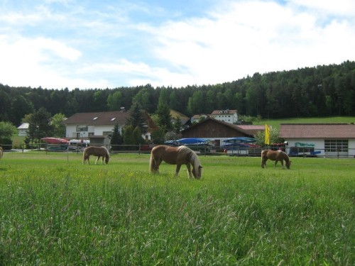 Sommerhus - 10 personer -  - 93468 - Miltach