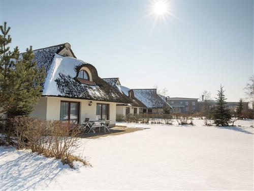 Feriecenter - 6 personer -  - Krakower Chaussee - 18292 - Dobbin-Linstow / Linstow
