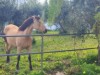 Billede 11