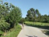 Billede 37