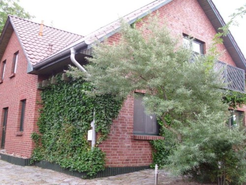Sommerhus - 2 personer -  - 23999 - Kaltenhof