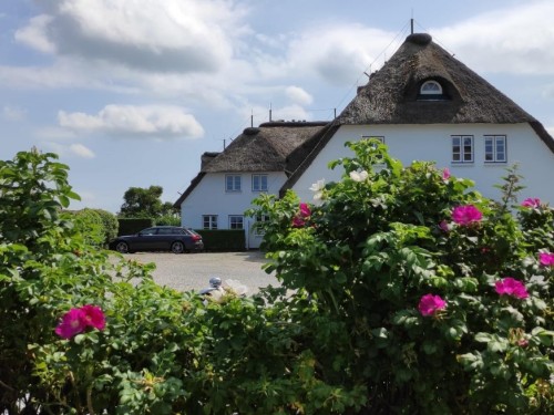 Ferielejlighed - 3 personer -  - Groß Dunsum - 25938 - Dunsum
