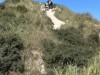 Billede 44