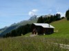 Bilde 2 - Ude