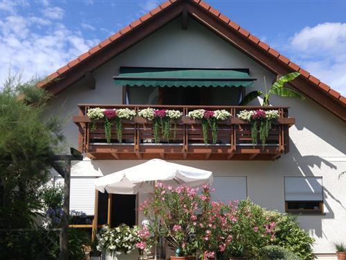 Ferienwohnung - 2 Personen -  - Scipiostraße - 04316 - Leipzig