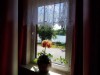 Bild 16