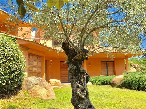 Holiday Home/Apartment - 8 persons -  - punta d'oro - 20137 - Porto-Vecchio