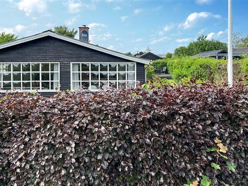 Ferienhaus - 6 Personen -  - Mindevej - Hejlsminde - 6094 - Hejls