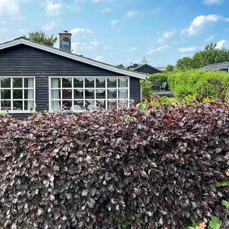 Ferienhaus - 6 Personen -  - Mindevej - Hejlsminde - 6094 - Hejls