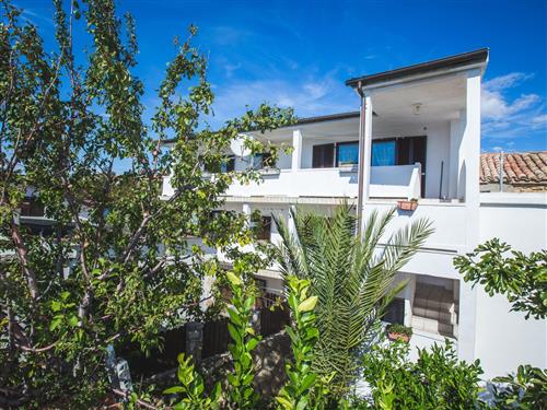 Ferielejlighed - 3 personer -  - Lopar - 51281 - Lopar