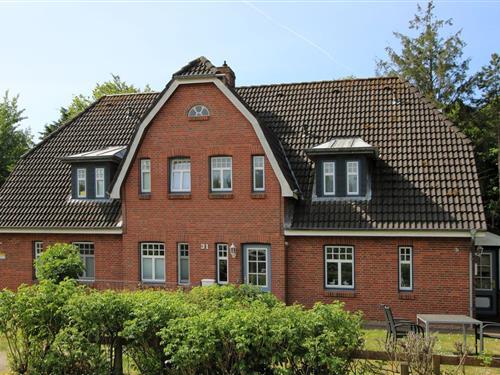 Ferielejlighed - 2 personer -  - Am Grünstreifen - 25938 - Wyk Auf Föhr