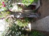 Bild 38 - Aussen