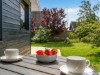 Billede 18 - Terrasse