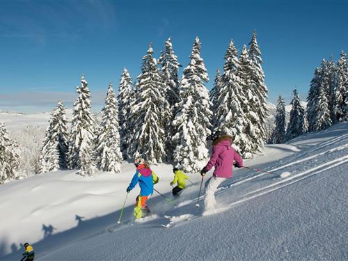 Ferienhaus - 10 Personen -  - 74220 - La Clusaz