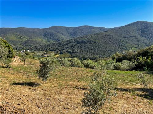 Feriehus / leilighet - 2 personer -  - Località Ceppete, - 57037 - Portoferraio