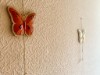 Bild 11 - Inde
