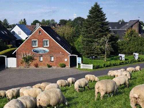 Ferienwohnung - 3 Personen -  - Deichstraße - 26434 - Schillig