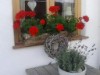Bild 32