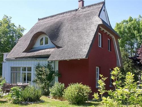 Sommerhus - 4 personer -  - Heinrich-Schlotermann-Weg - 18347 - Ostseebad Ahrenshoop