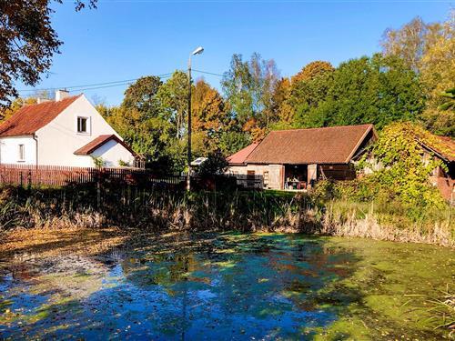 Ferienhaus - 4 Personen -  - Stare Kawkowo - 11-042 - Stare Kawkowo