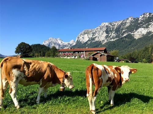 Feriehus / leilighet - 2 personer -  - Triebenbachstraße - 83486 - Ramsau