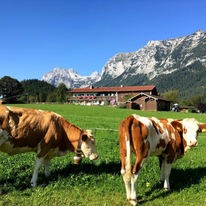 Ferielejlighed - 2 personer -  - Triebenbachstraße - 83486 - Ramsau