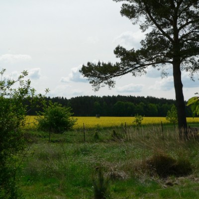 Billede 3
