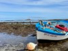 Billede 27
