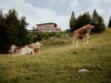 Billede 2
