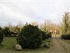 Bilde 4