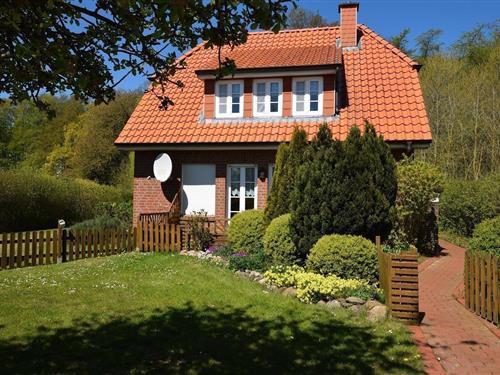 Ferienhaus - 6 Personen -  - Kranichring - 24321 - Hohwacht