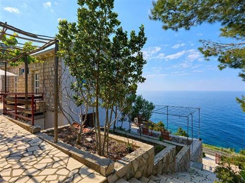 Holiday apartment - 2 persons -  - Zabrežje - 20225 - Babino Polje