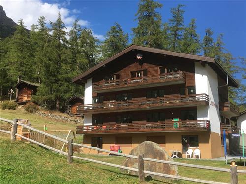 Ferienhaus - 4 Personen -  - Lärchenstrasse - 3910 - Saas-Grund