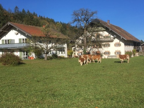 Sommerhus - 4 personer -  - 83324 - Ruhpolding