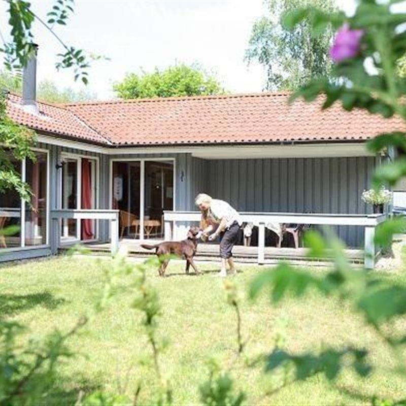 Sommerhus - 4 personer -  - Walter-Gotsmann-Straße - 17252 - Mirow