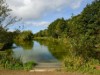 Image 24