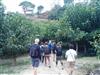 Bild 25