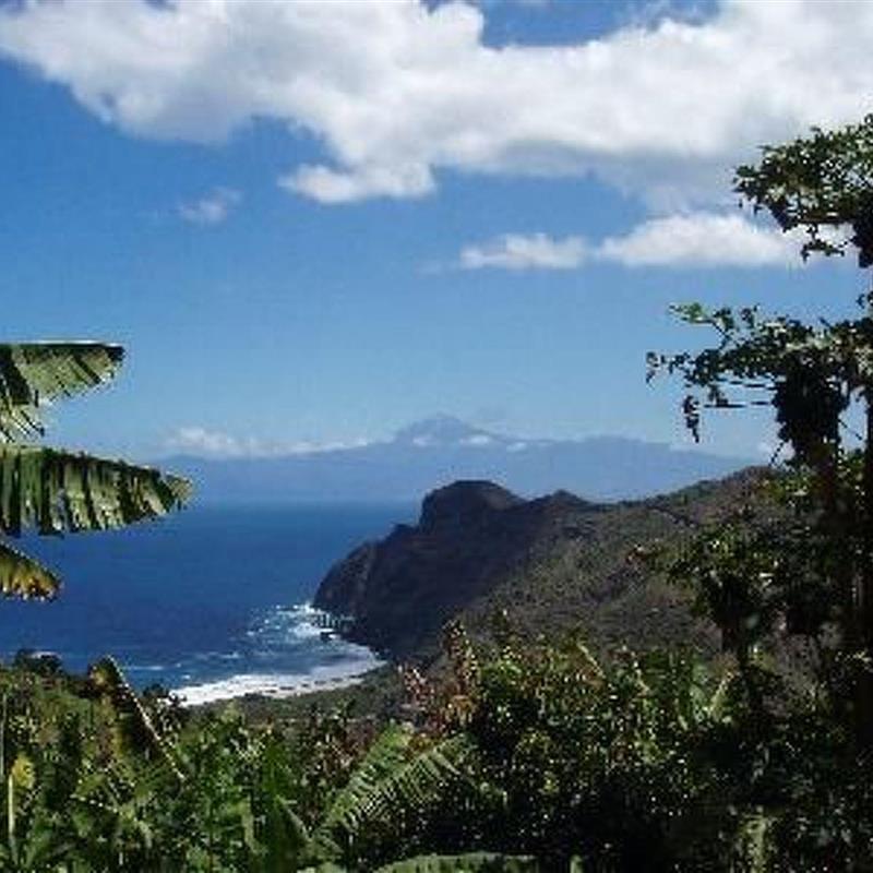 Ferielejlighed - 2 personer -  - Hermigua - 38820